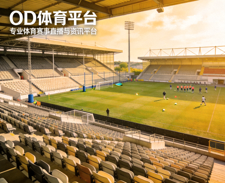 体育场看台与比赛场地全景，OD体育平台介绍配图